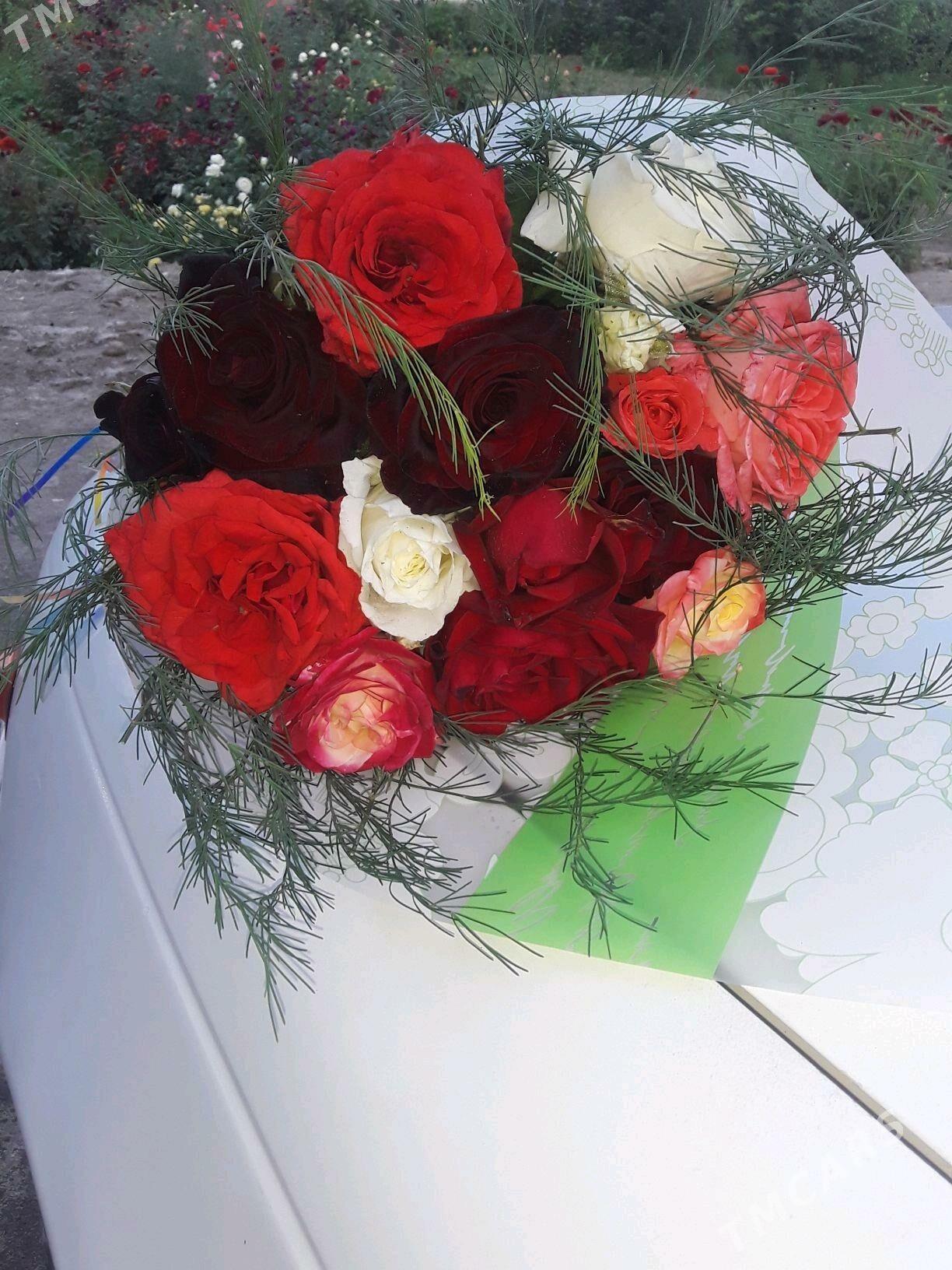 dasary guller - Мары - img 1