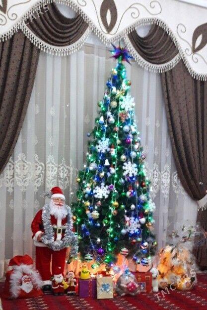 Yolka Gyssagly - Ашхабад - img 1