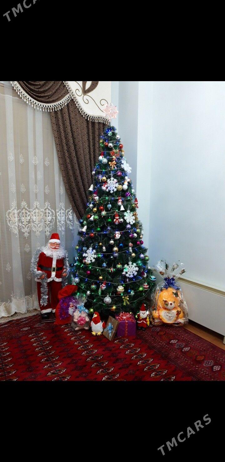 Yolka Gyssagly  - Ашхабад - img 2