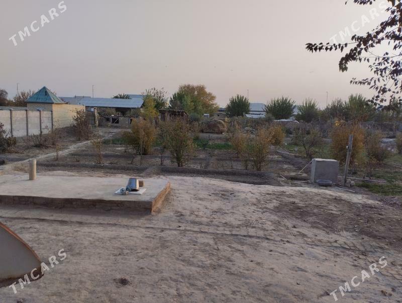 сатлык жай - Сакарчага - img 7