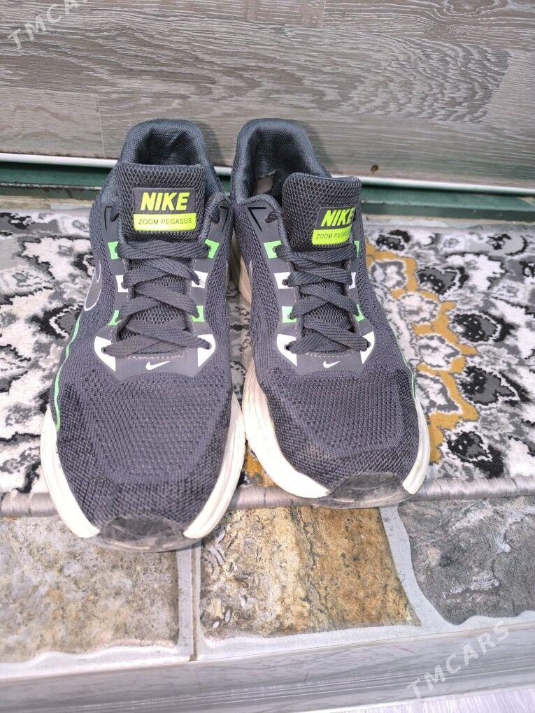 Sapok  Ädik Krasopga - Balkanabat - img 5