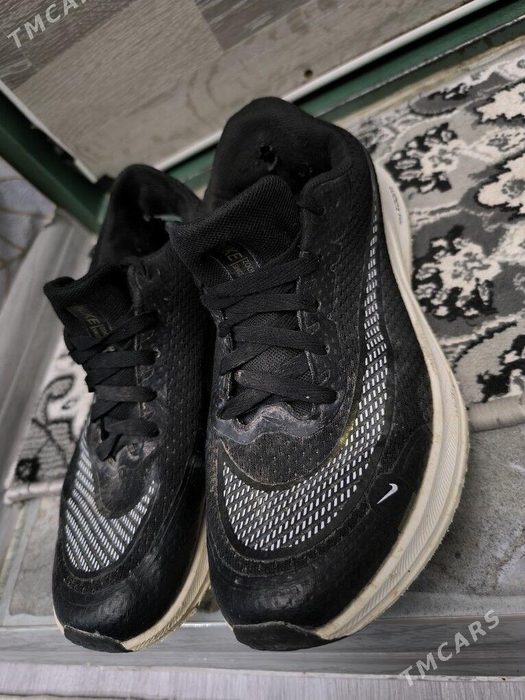 Sapok  Ädik Krasopga - Balkanabat - img 6