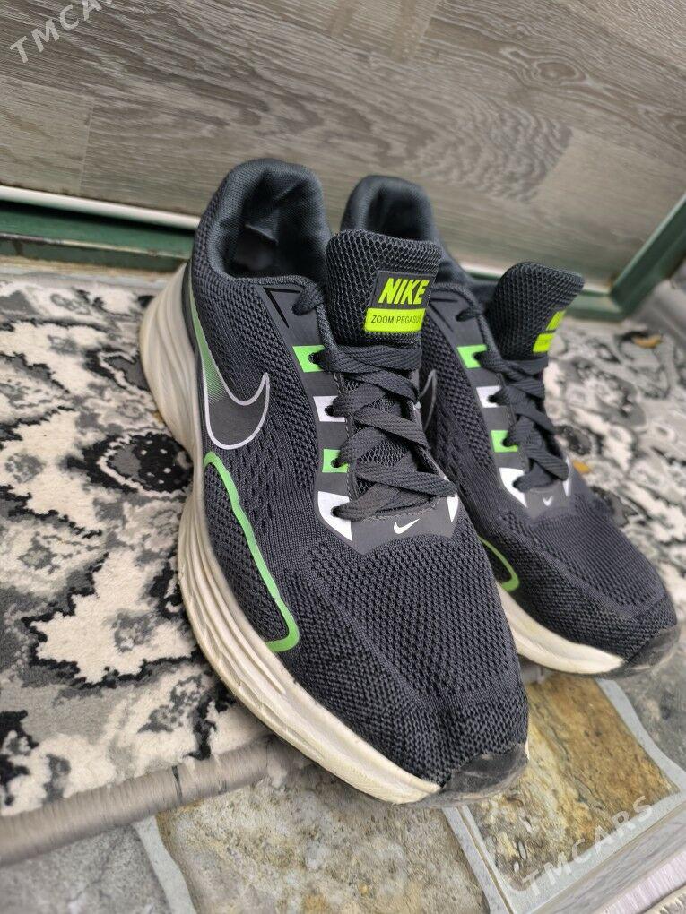 Sapok  Ädik Krasopga - Balkanabat - img 10