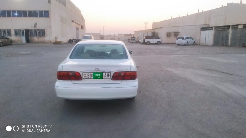 Toyota Avalon 1999 - 147 000 TMT - Теджен - img 5