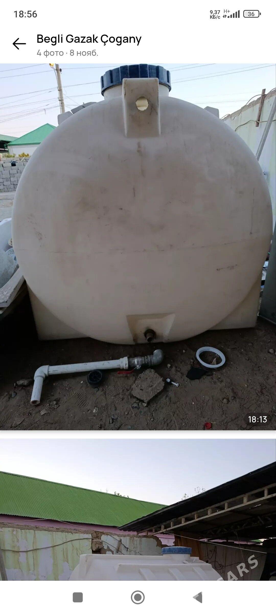 Pylasmas Boçgo - Murgap - img 2