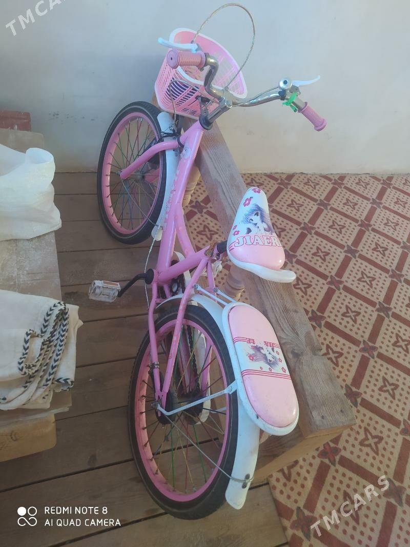 tigir - Гурбансолтан Едже - img 3