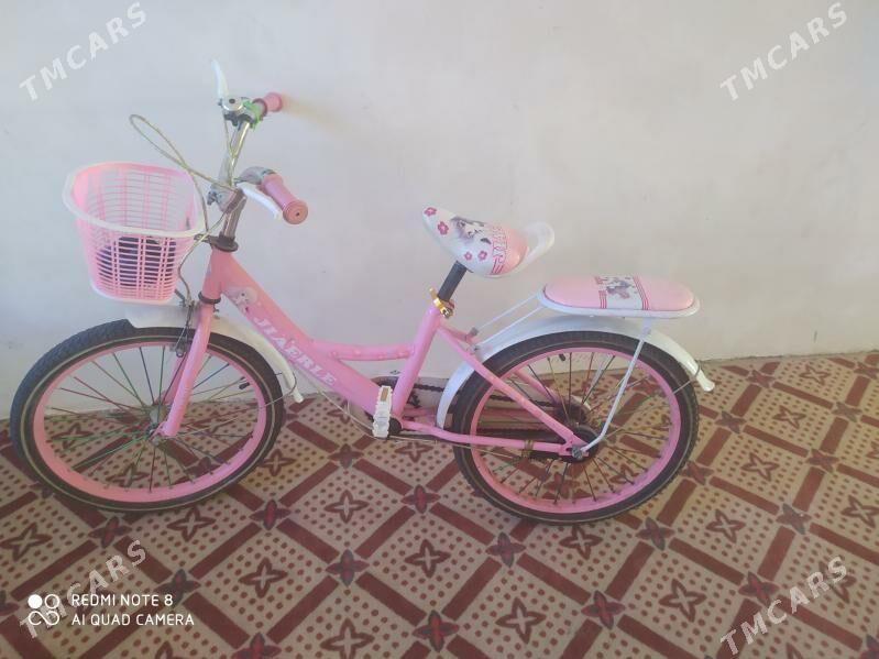 tigir - Гурбансолтан Едже - img 2