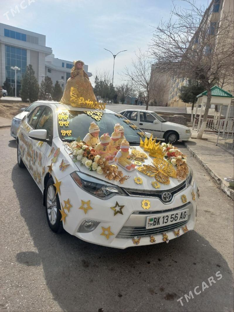 Tayyn chaga chykdy bezeg - Ашхабад - img 10