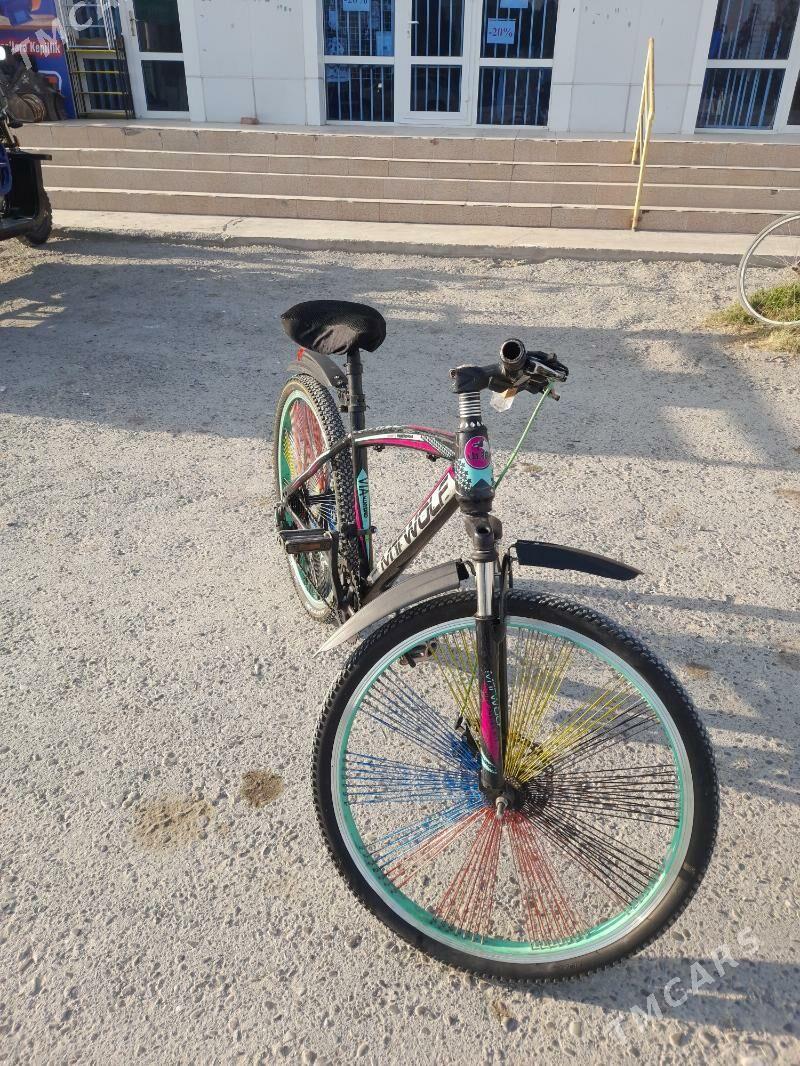 tigir - Бахарден - img 6