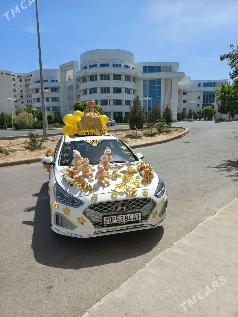 Tayyn chaga chykdy bezeg - Ашхабад - img 7