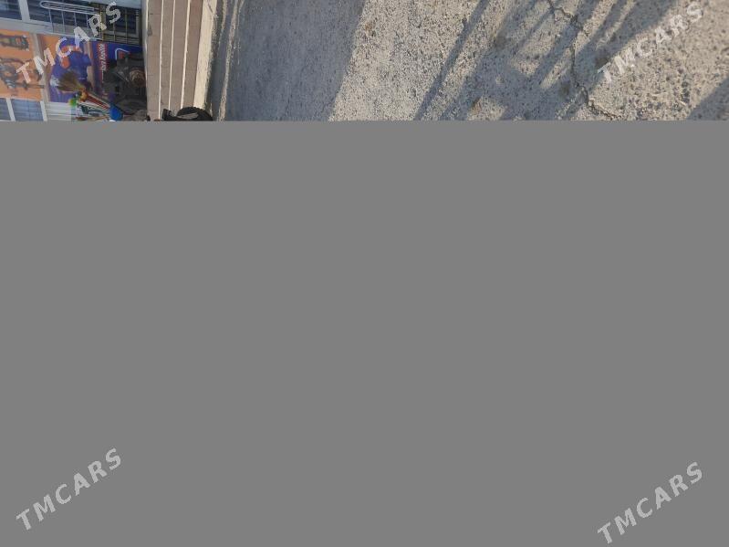 tigir - Бахарден - img 2