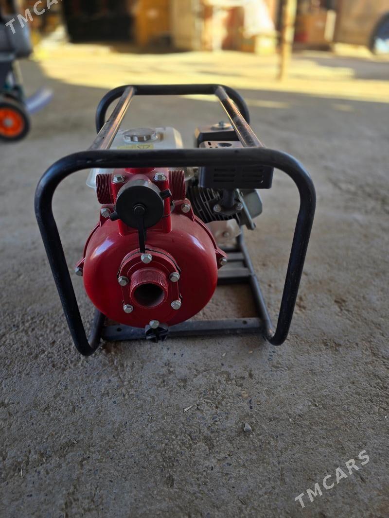 Sunday - Mary - img 4