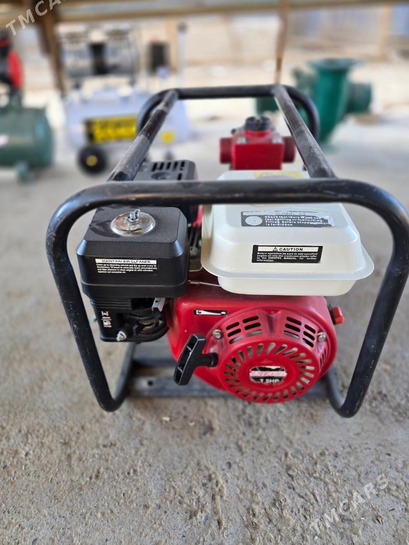 Sunday - Mary - img 2