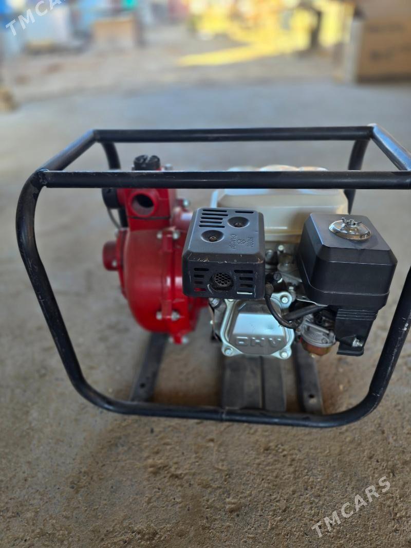 Sunday - Mary - img 3