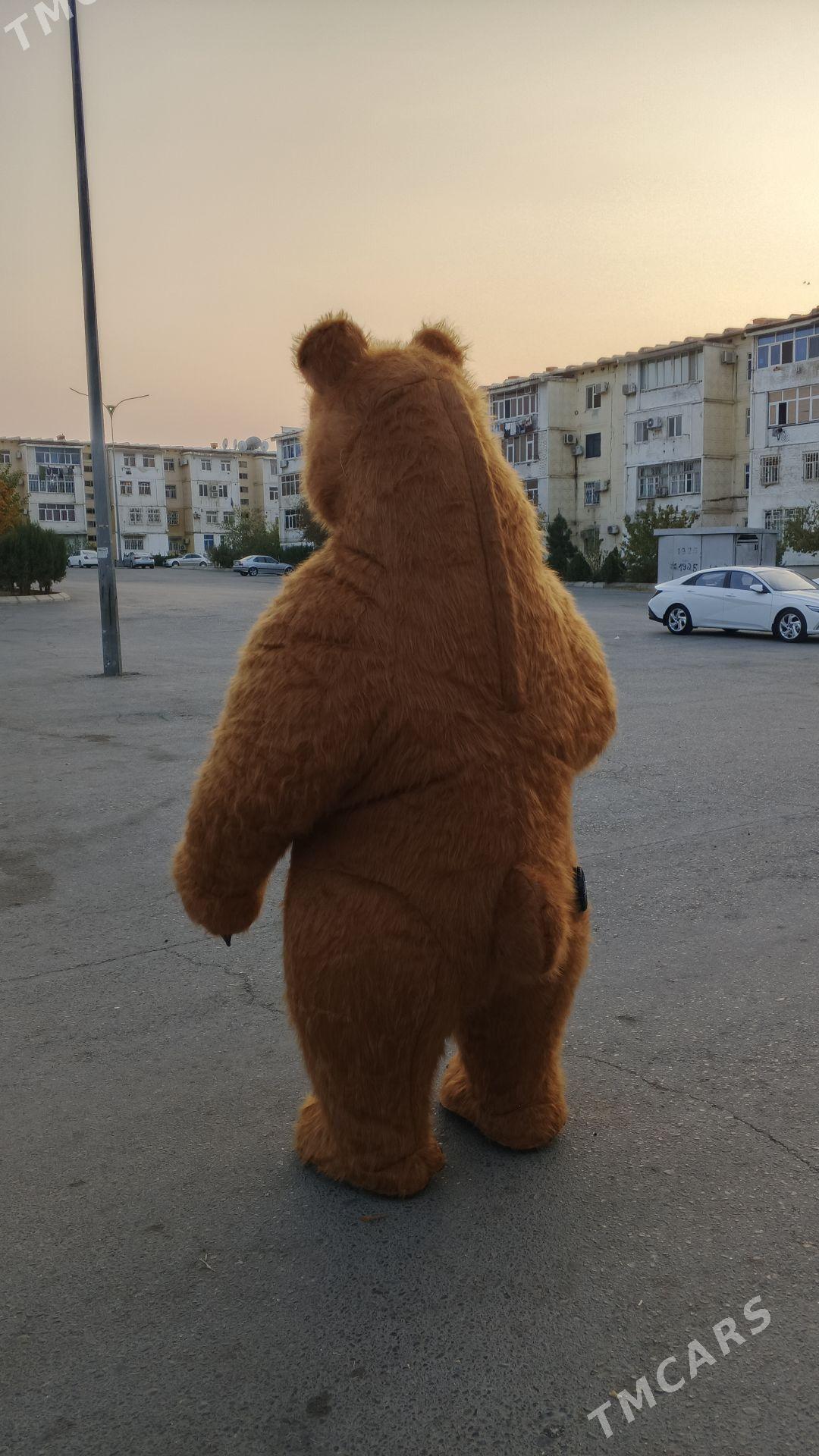 masa medwed - Aşgabat - img 3