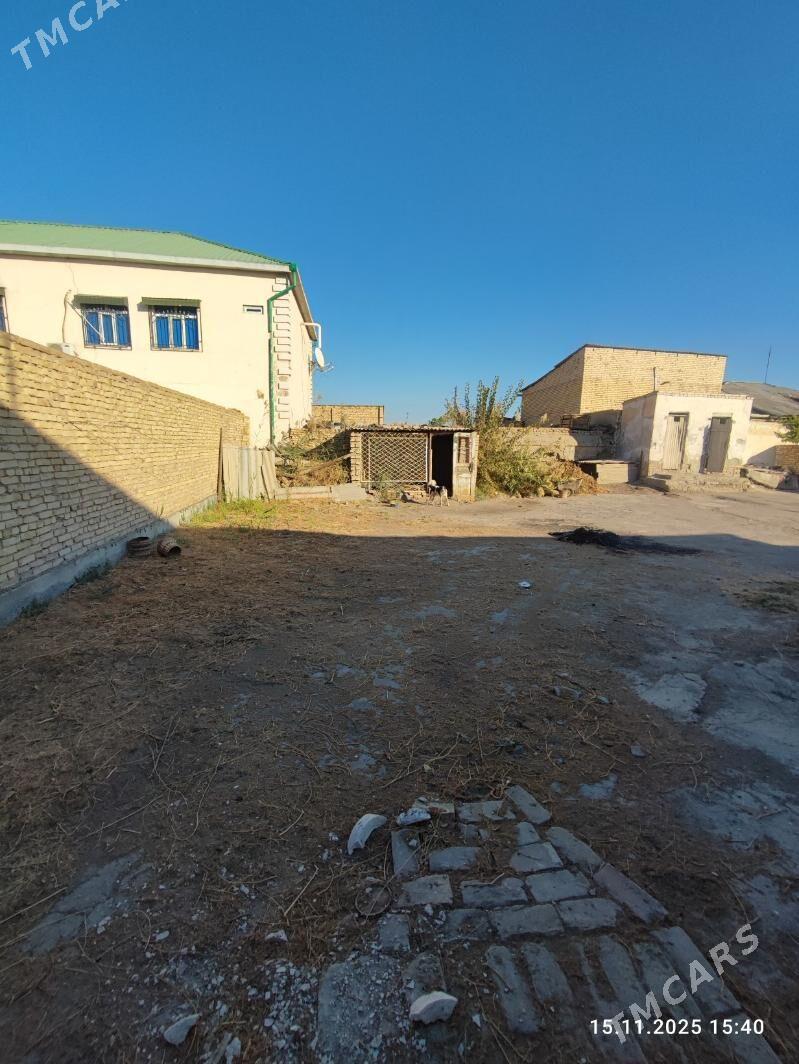 Жай - Туркменабат - img 5