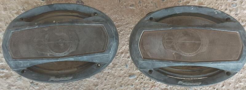 kalonkalar 500 TMT - Sakarçäge - img 2