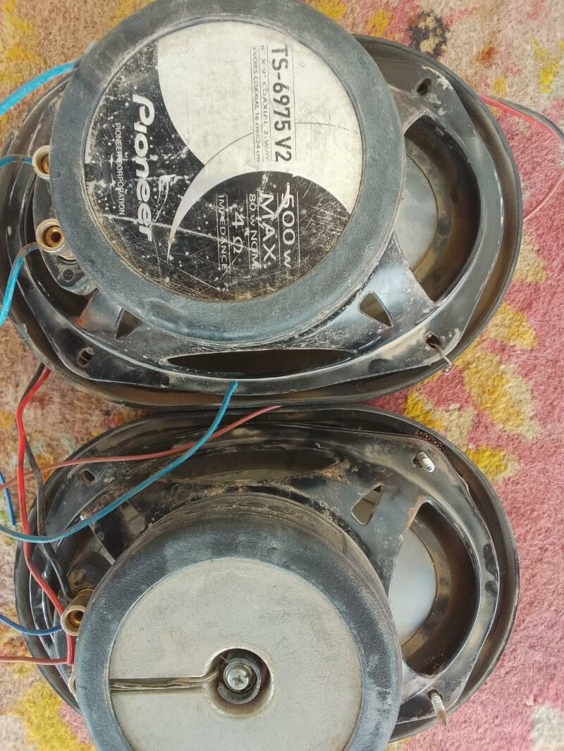 kalonkalar 500 TMT - Sakarçäge - img 3