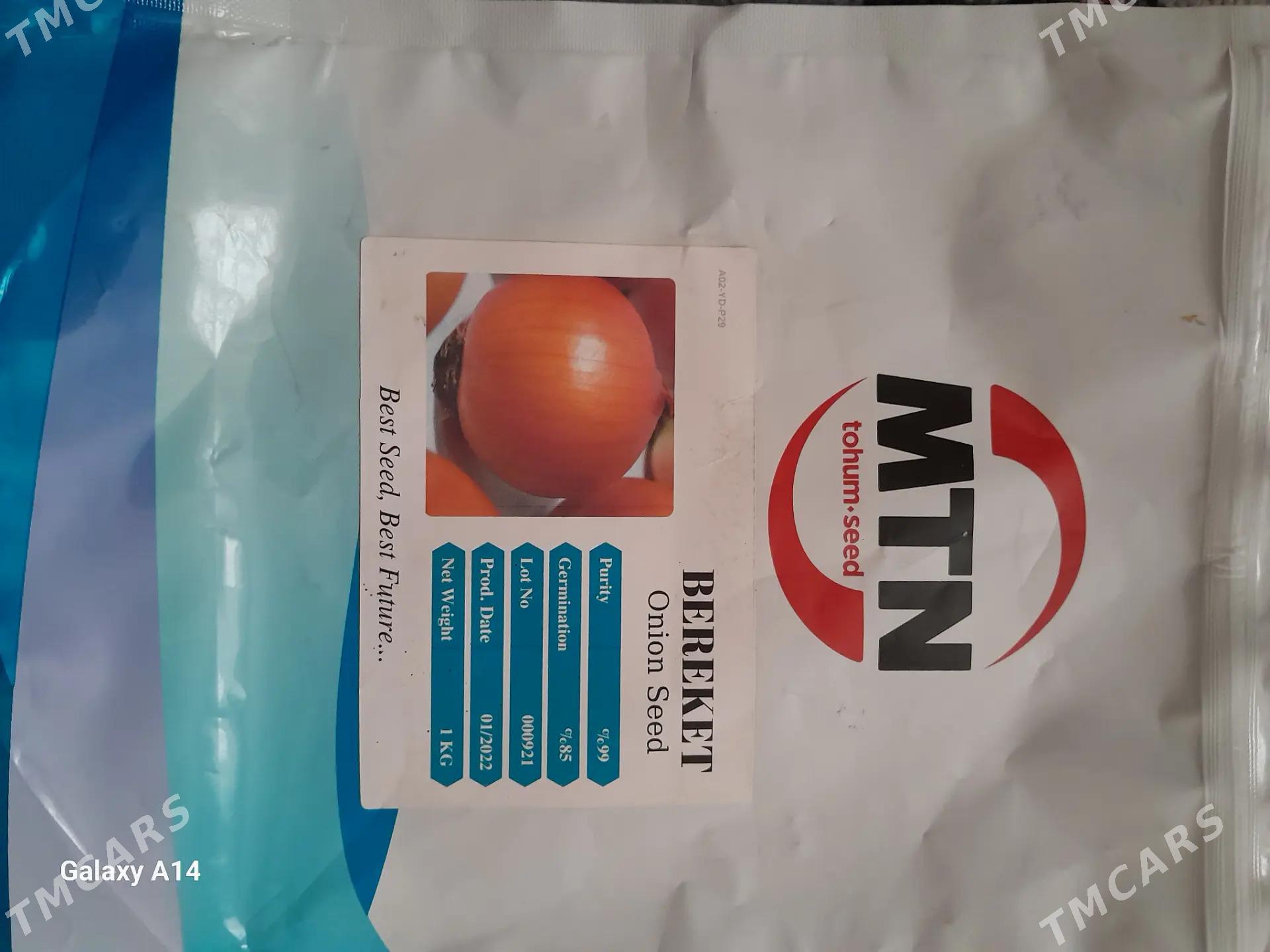 Sogan tohum - Теджен - img 3