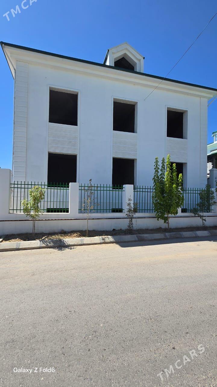 Koteź Arçabile goloý - Änew - img 2