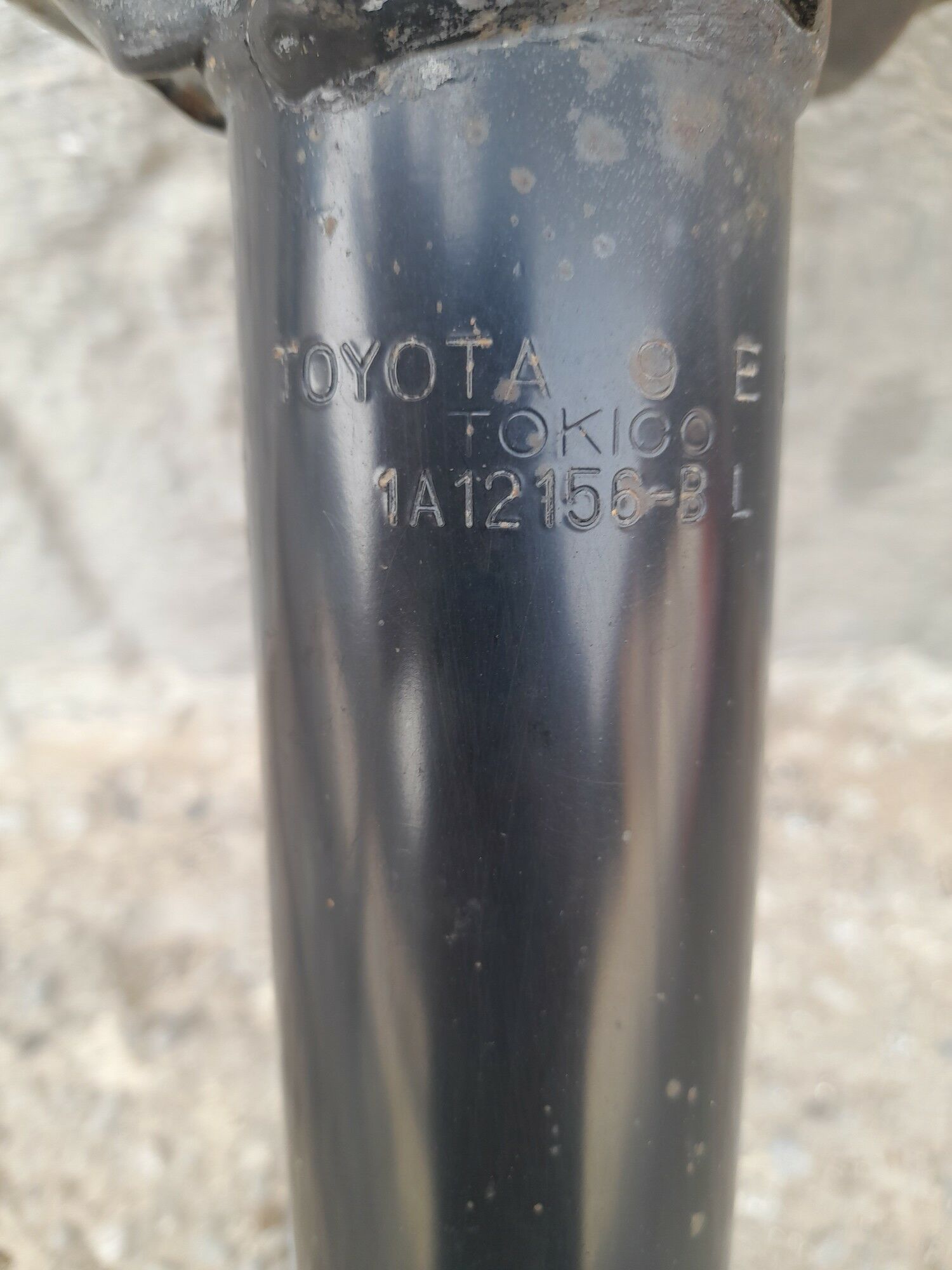 Amasatyr 550 TMT - Кипджак - img 3