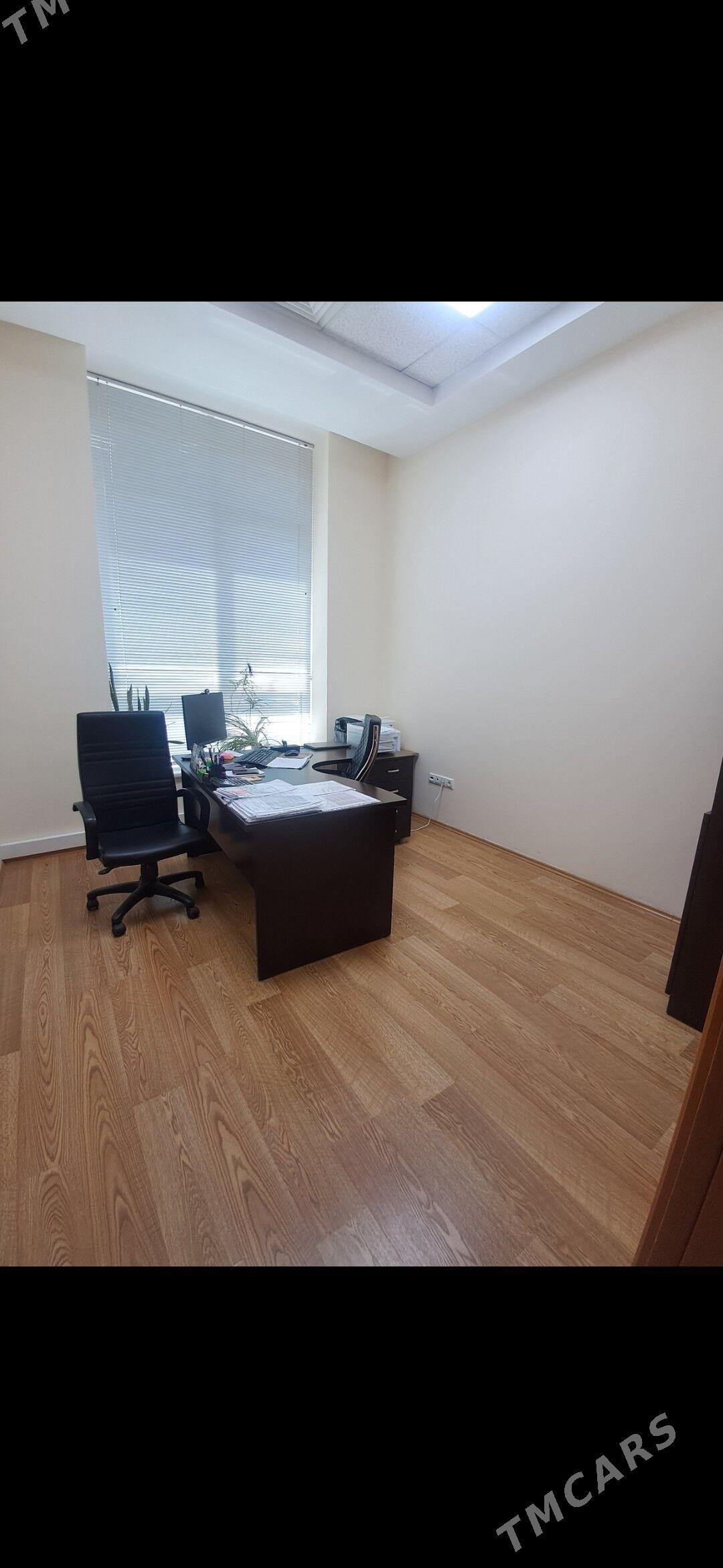 Arenda Ofis Офис  telekeciler - Aşgabat - img 2
