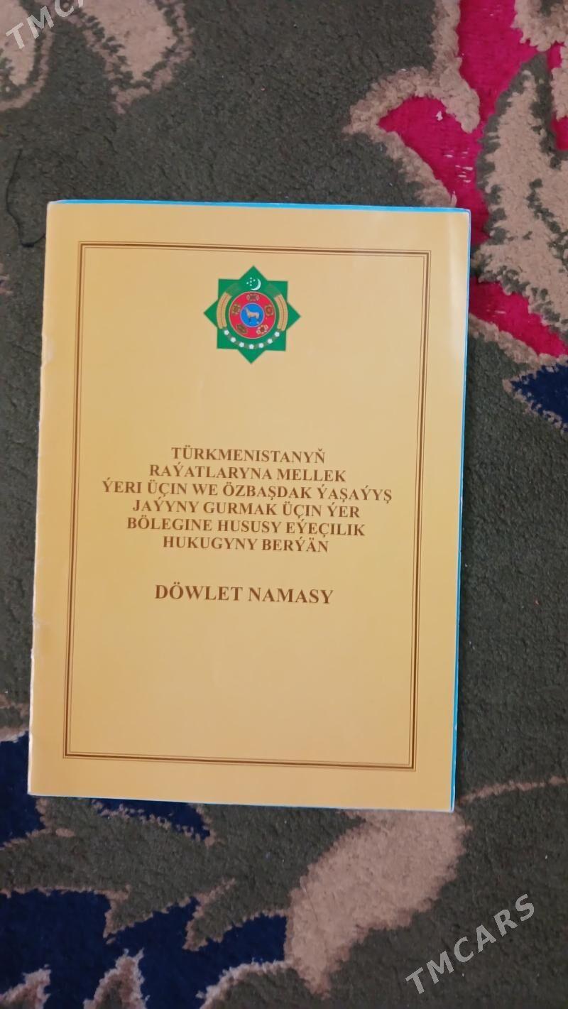 öňally mellek - Ak bugdaý etraby - img 2