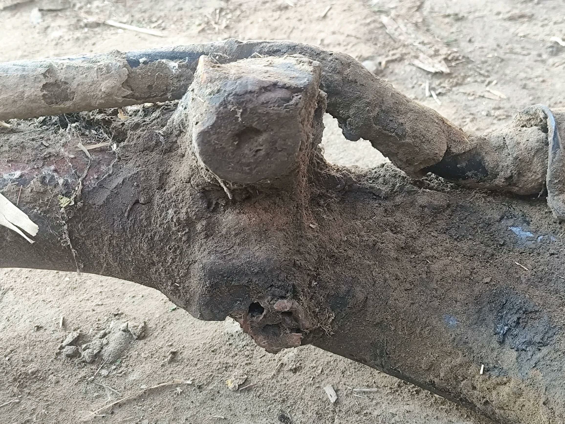 balka 300 TMT - Шабатский этрап - img 3