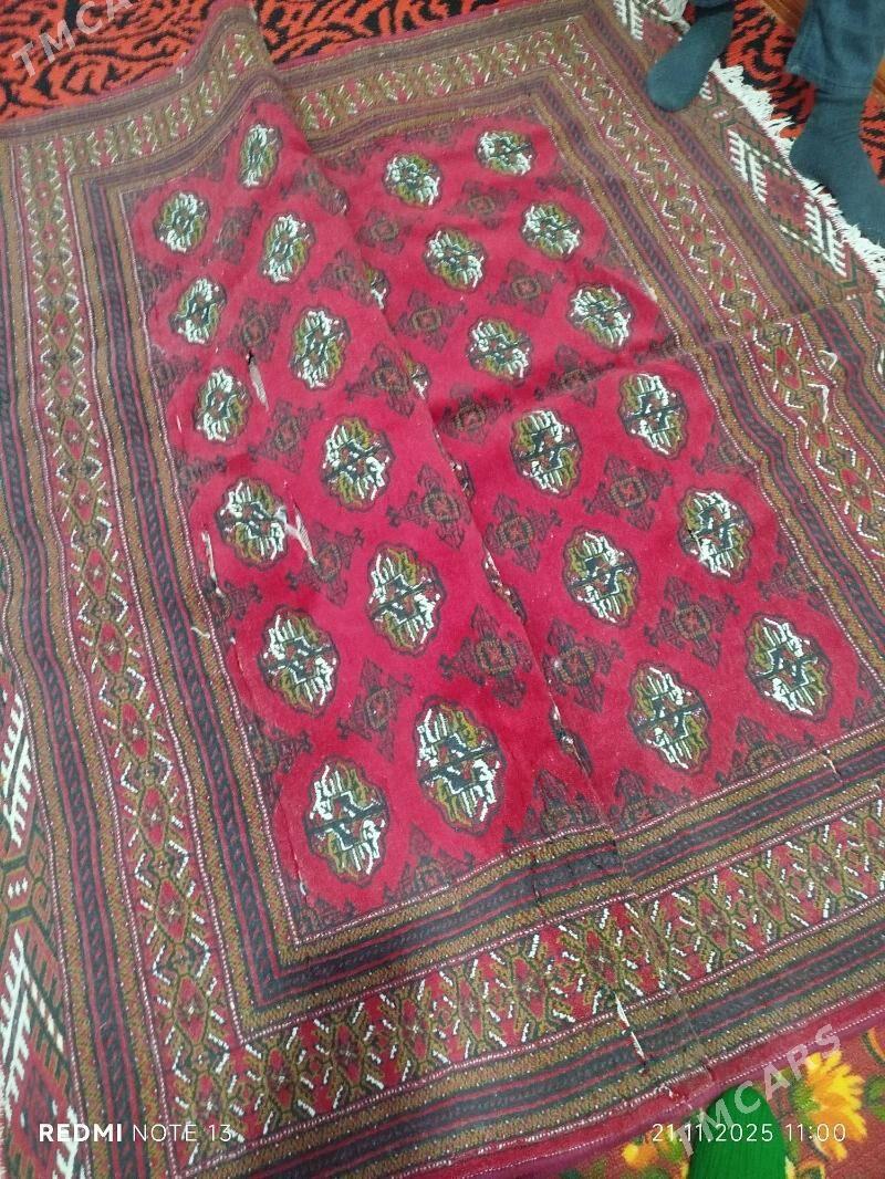 Халы - Туркменабат - img 1