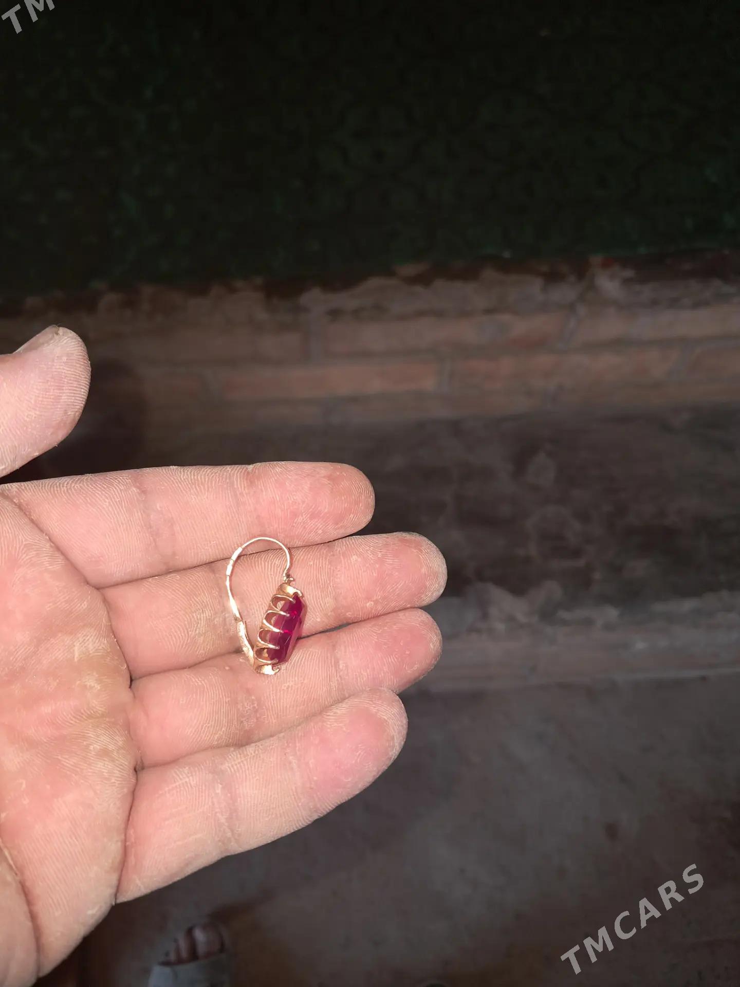 tylla halka aljak - Türkmenabat - img 2