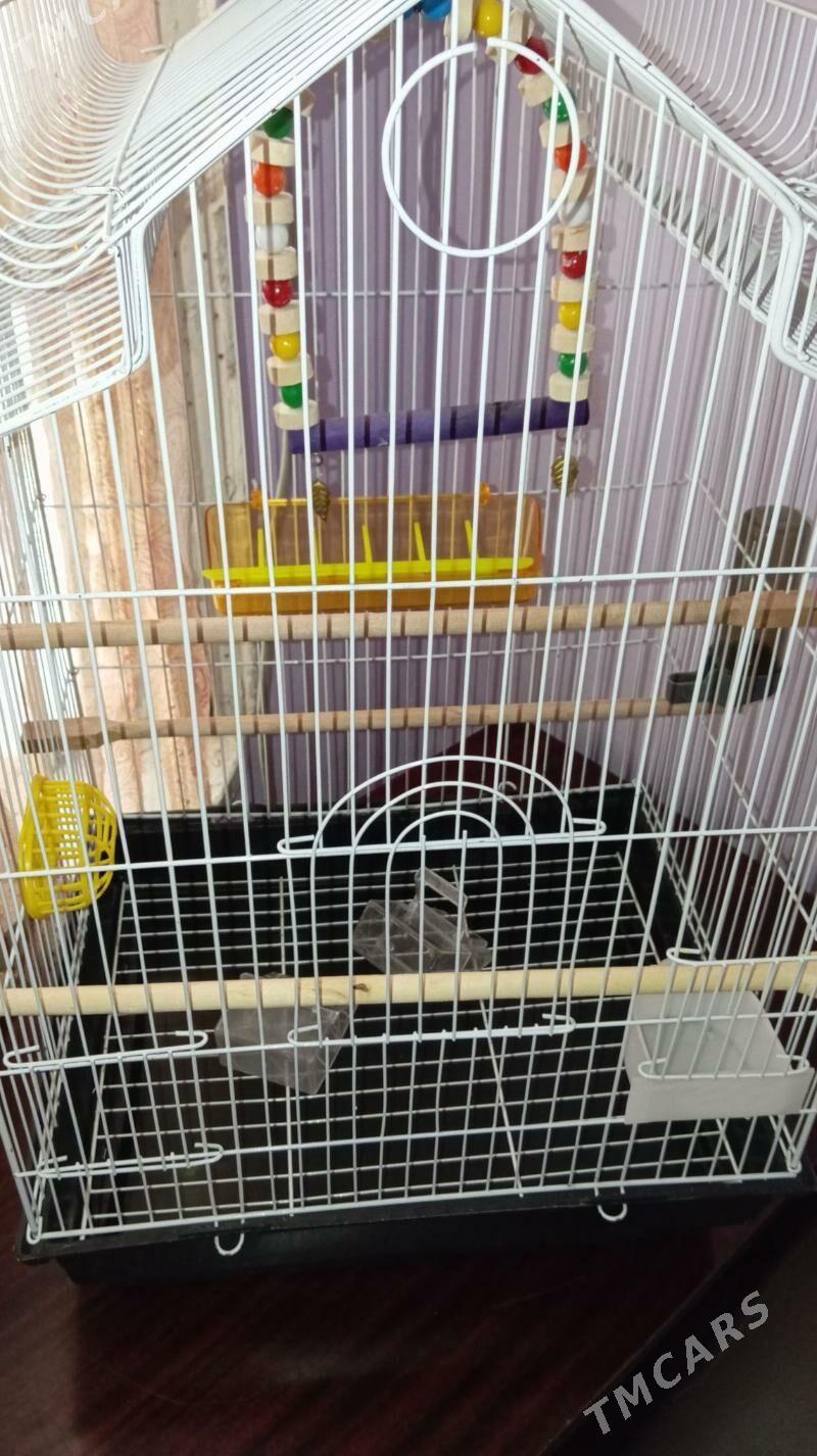 Продается клетка - Ашхабад - img 2