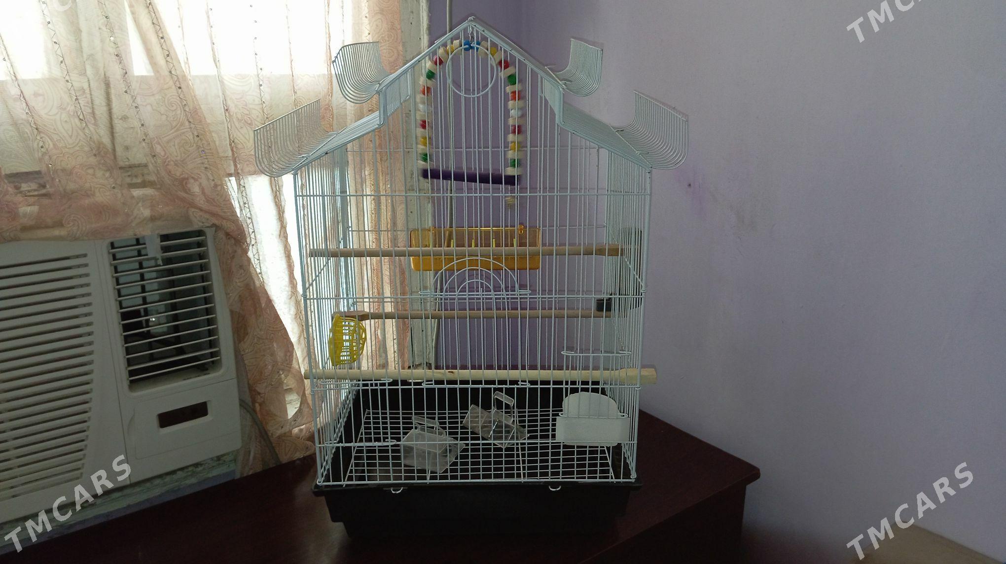 Продается клетка - Ашхабад - img 1
