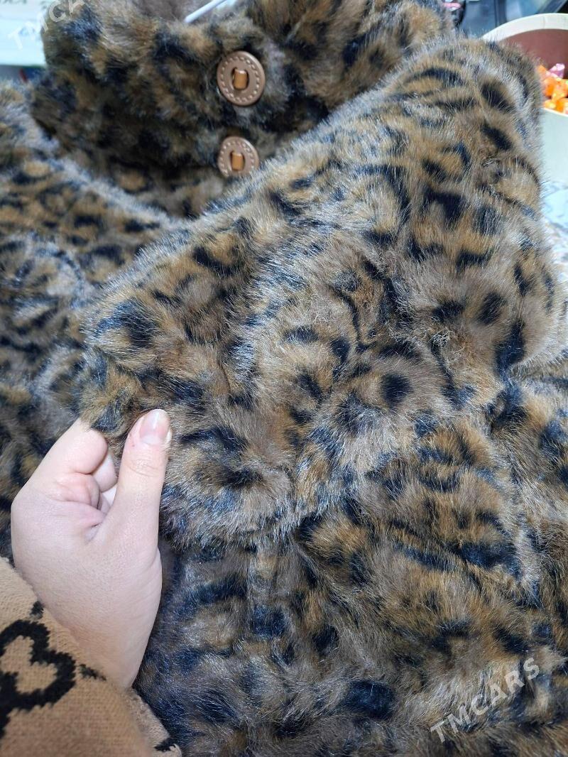 Şuba - Туркменабат - img 4