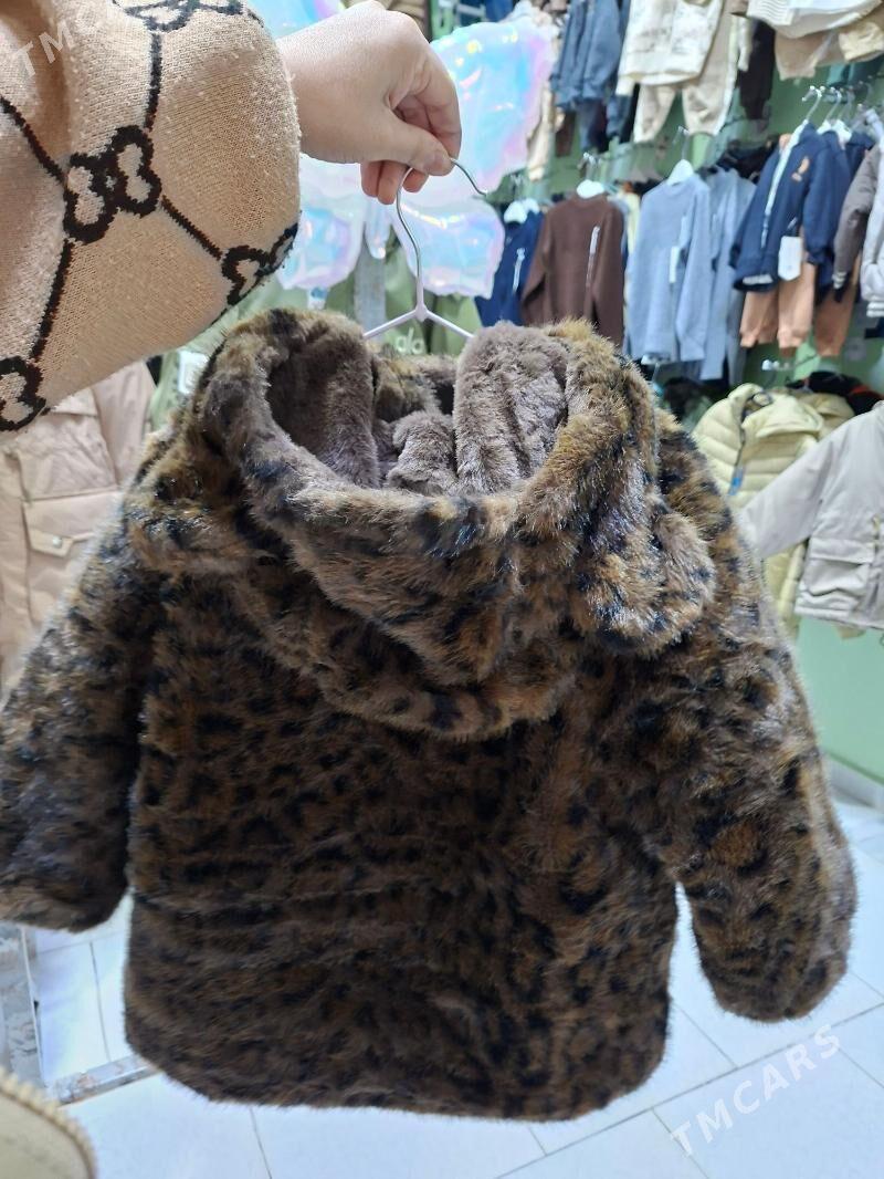 Şuba - Туркменабат - img 2