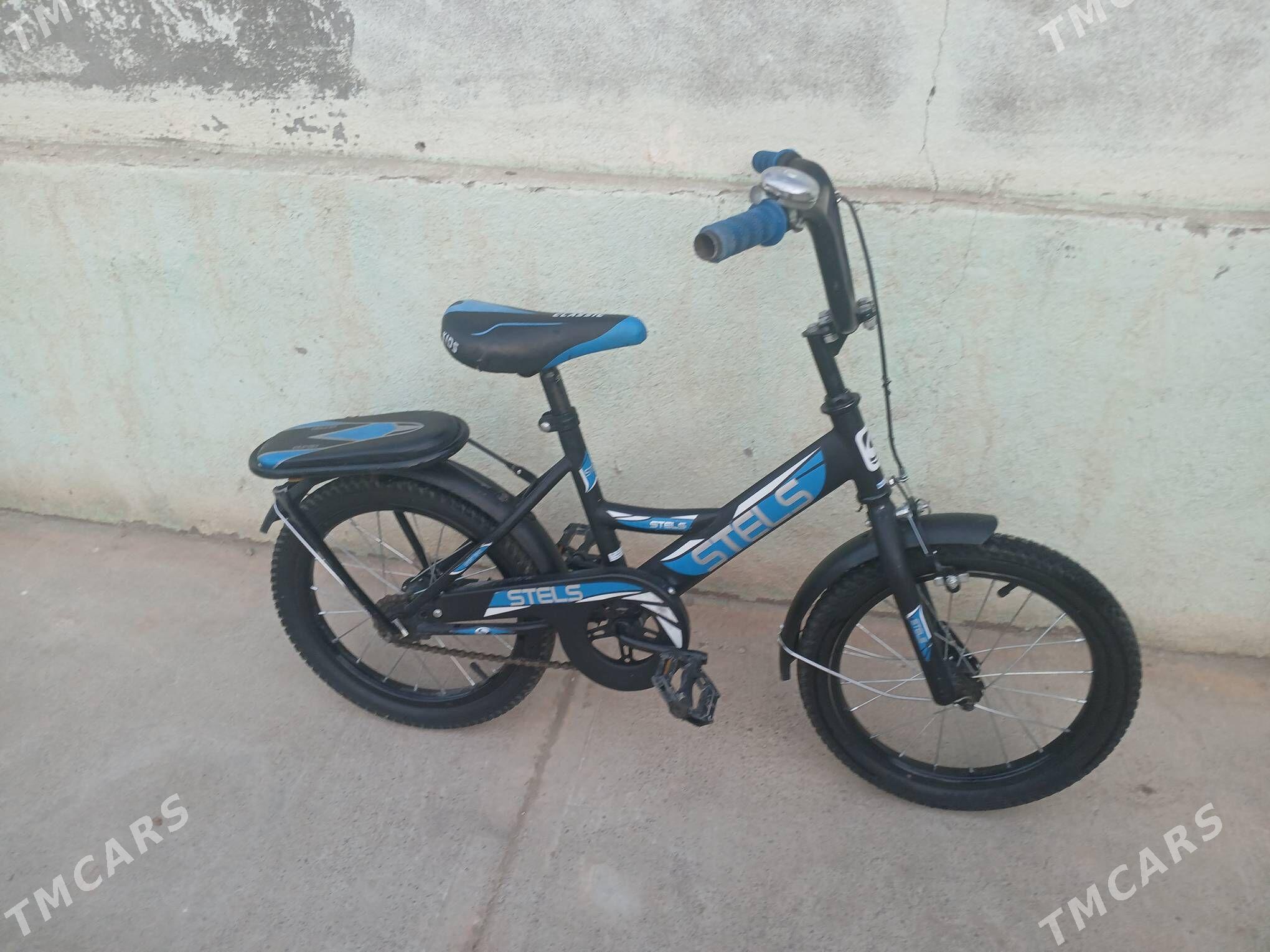 Tigir - Анев - img 3