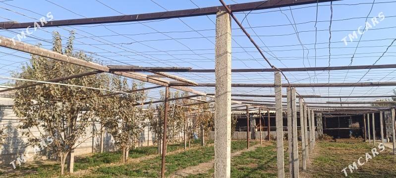 parnik - Aşgabat - img 1