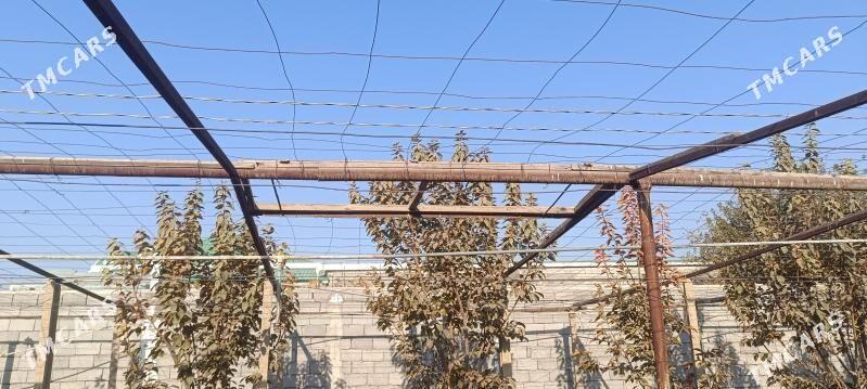 parnik - Aşgabat - img 2