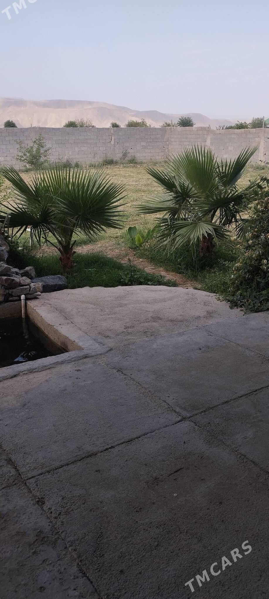 Sorgala jay - Гёкдепе - img 2