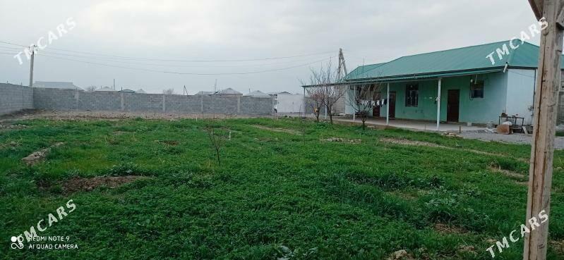 Sorgala jay - Гёкдепе - img 1