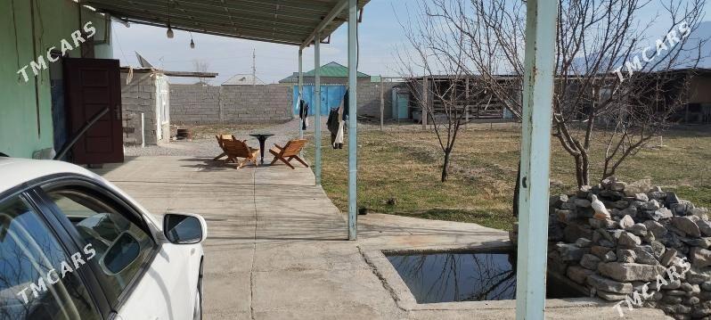 Sorgala jay - Гёкдепе - img 4