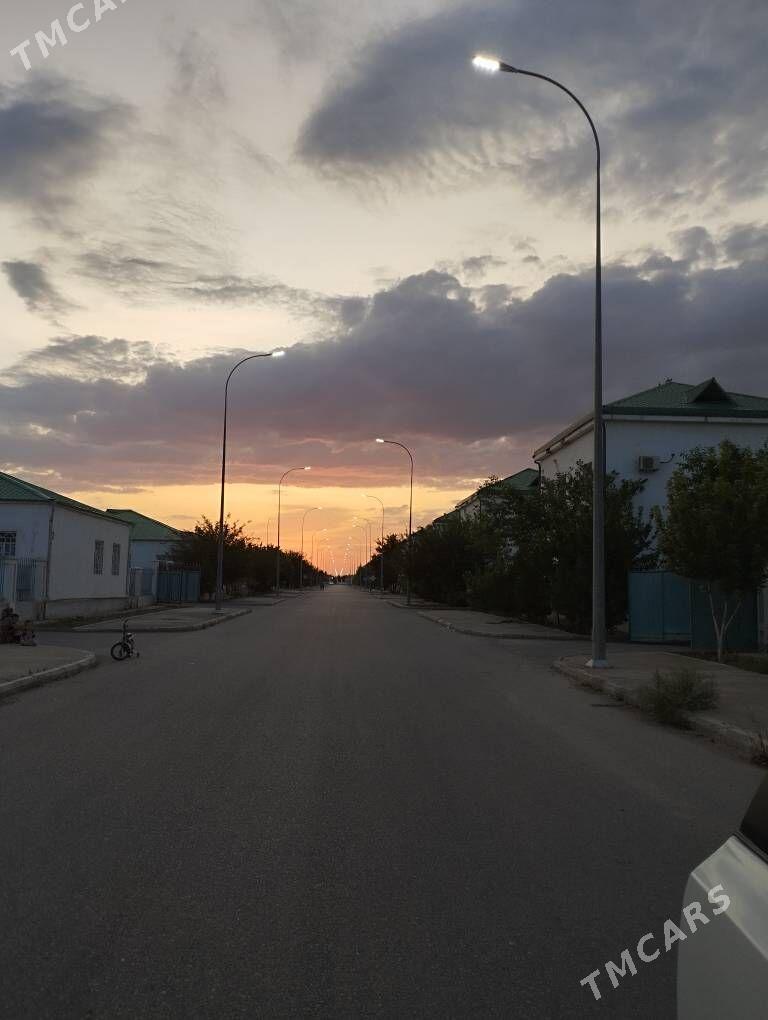 Taze zaman ️тазе заман - Тязе заман - img 1