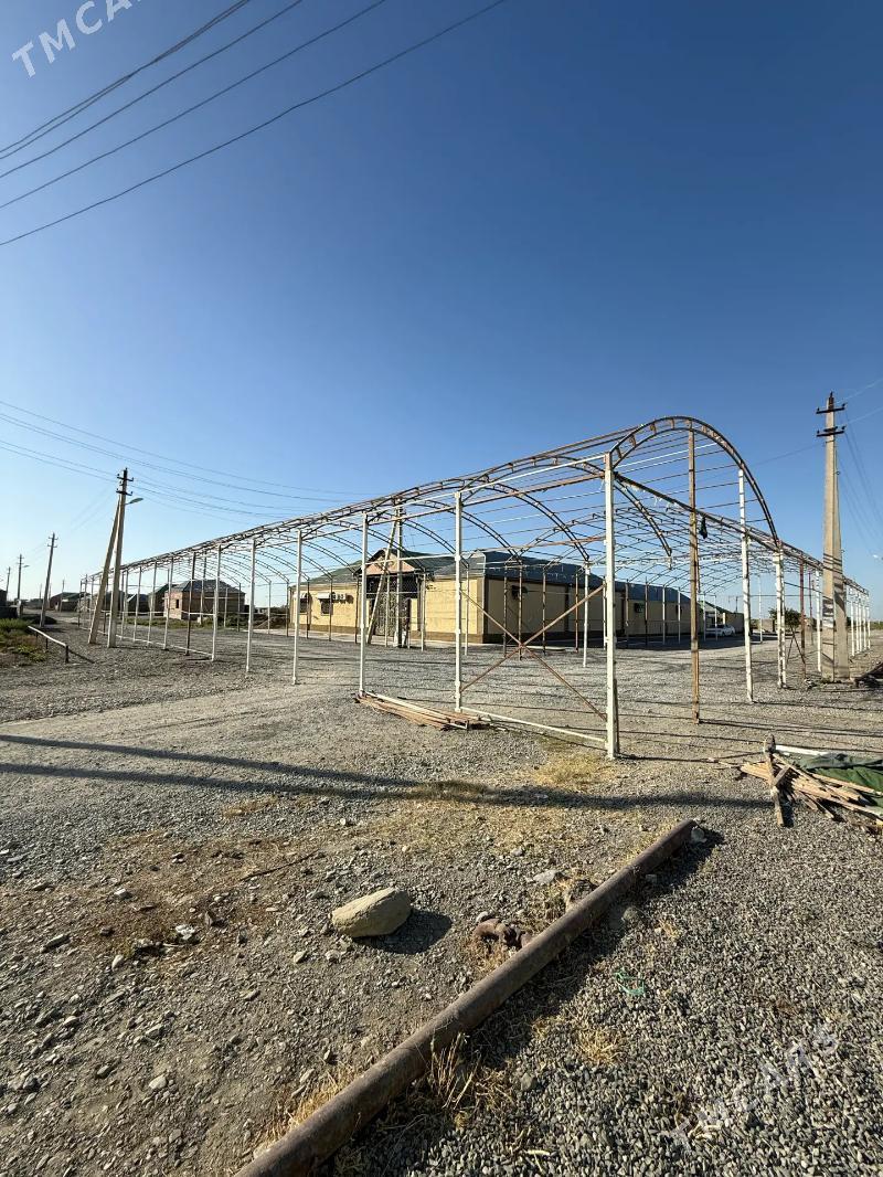 Demir  ferma - Bäherden - img 1