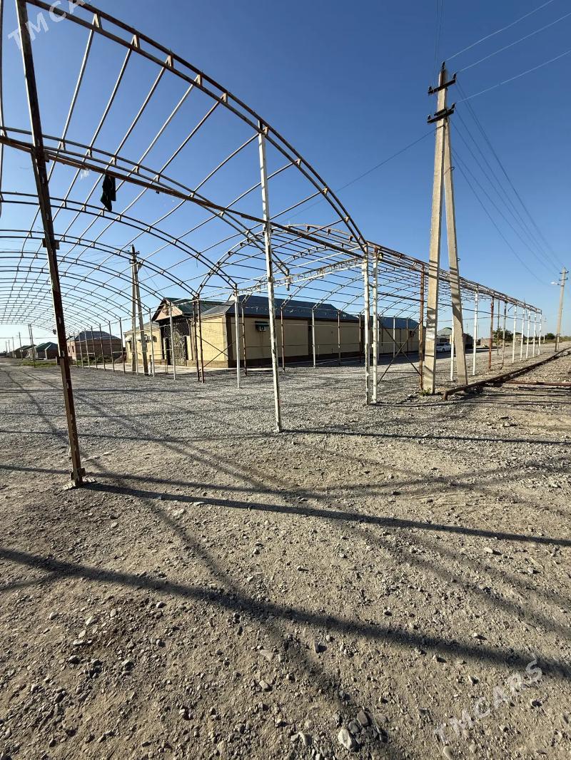 Demir  ferma - Bäherden - img 4