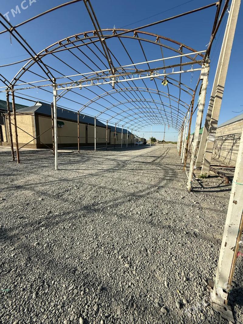 Demir  ferma - Bäherden - img 3