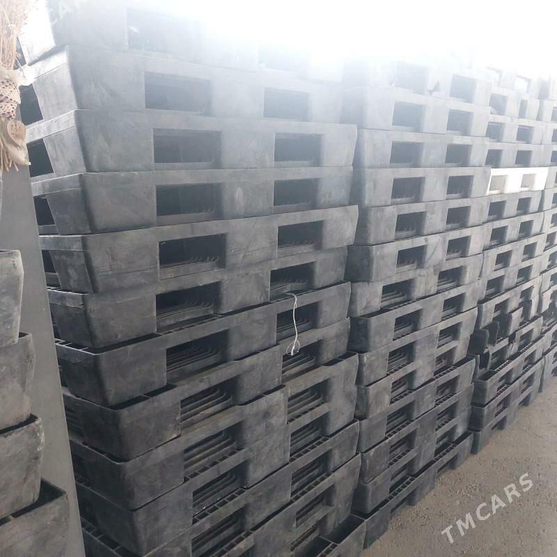 plasmas paddon - Arzuw - img 1