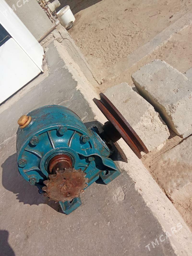 reduktyr - Эсенгулы - img 1