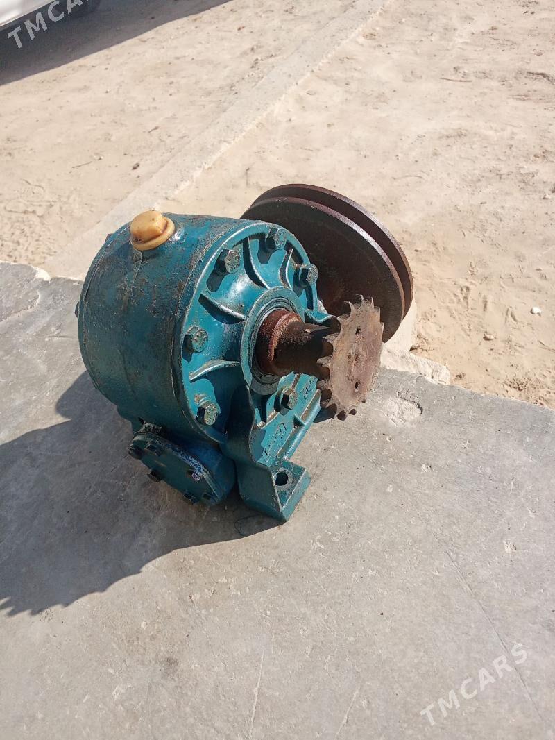 reduktyr - Эсенгулы - img 2