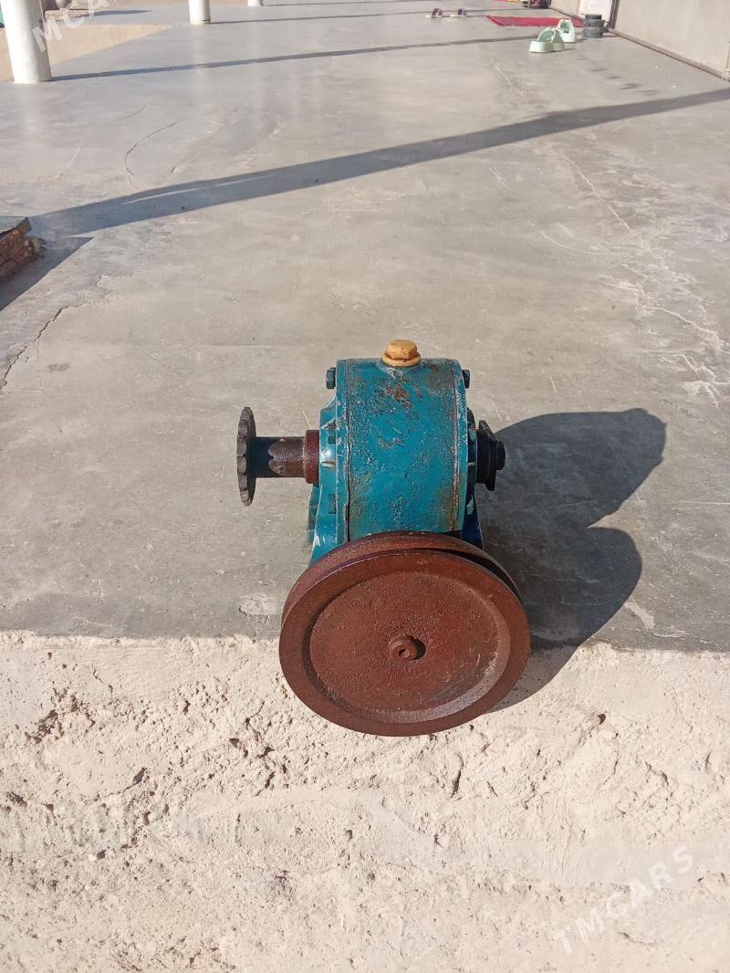 reduktyr - Эсенгулы - img 3