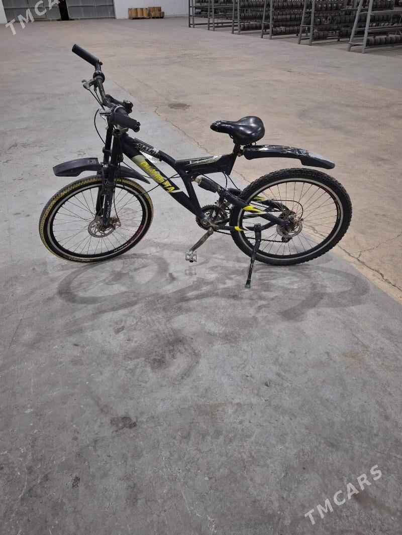 Tigir - Бузмеин - img 4