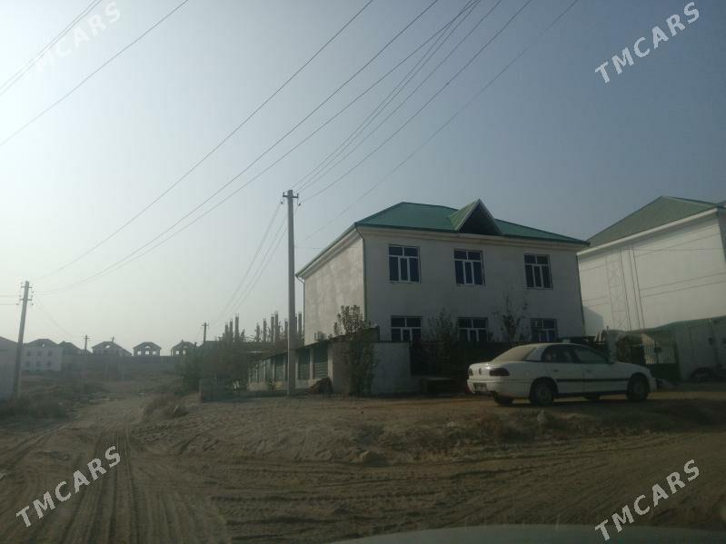 anew katez - Änew - img 1